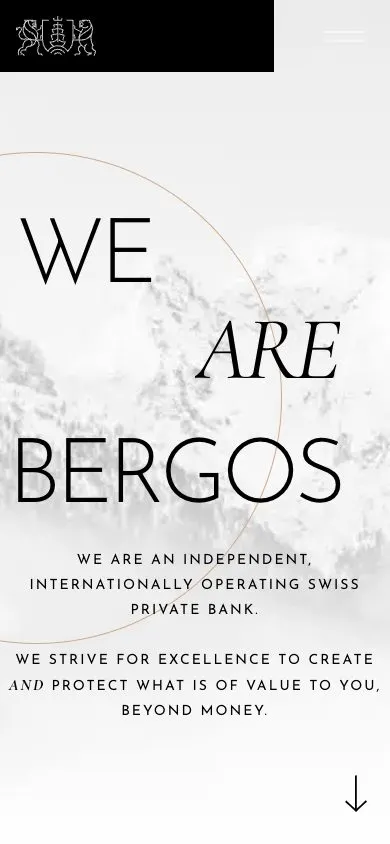 Bergos website, mobile screenshot