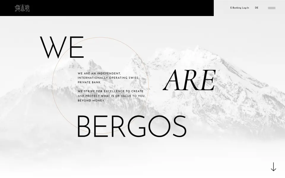 Bergos website, desktop screenshot