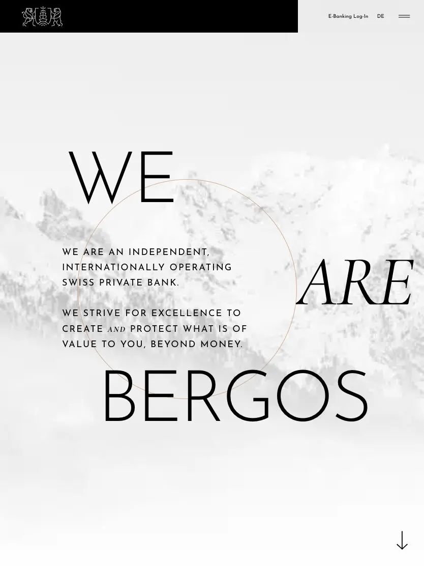 Bergos website, tablet screenshot