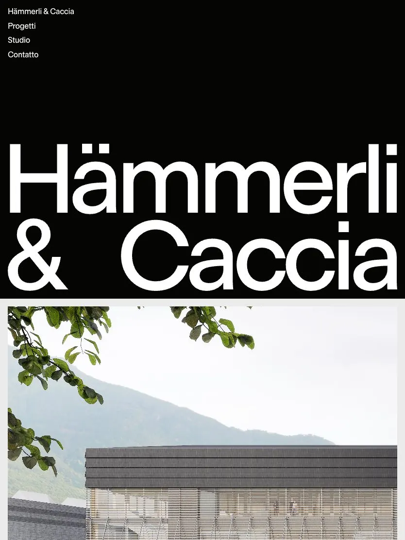 Hämmerli & Caccia website, tablet screenshot