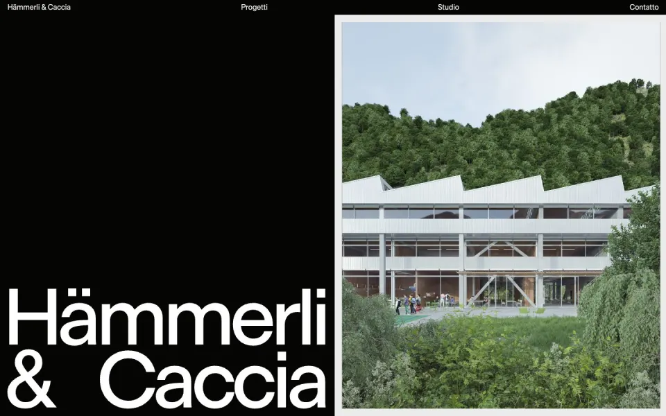 Hämmerli & Caccia website, desktop homepage