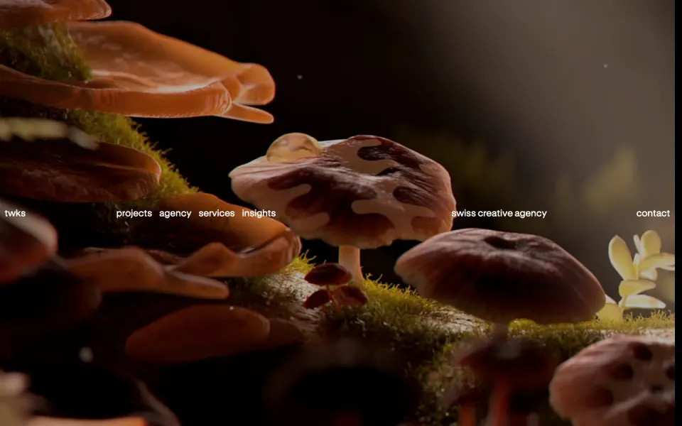twks website, desktop screenshot