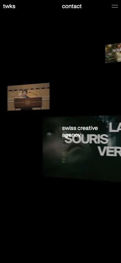 twks website, mobile screenshot